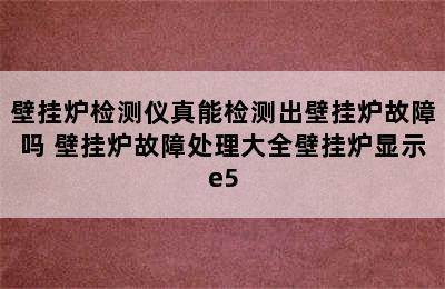 壁挂炉检测仪真能检测出壁挂炉故障吗 壁挂炉故障处理大全壁挂炉显示e5